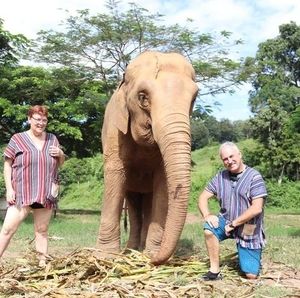 Meet your Posher, Annie